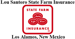 Lou Santoro State Farm Insurance